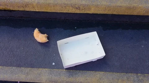 Half eaten donut beside empty takeaway box on concrete steps in urban setting Stock Footage 335144198