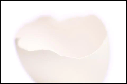 Half an egg shell Stock Photos