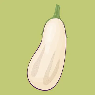 Half of eggplant isolated on background. Flat vector illustration Stock Illustration