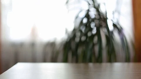 Half empty beer mug on table Stock Footage 77570980