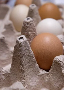 Half-empty cardboard tray with raw chicken eggs Stock Photos