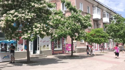 The half-empty central street of the city of Berdyansk on a clear sunny summer Stock Footage 156064914