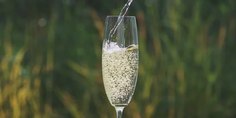 Half empty glass is filled with wine Stock Footage 247381718