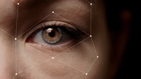 Half face facial recognition. Augmented reality. Brown eye Stock Footage 105018700