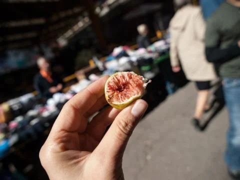 Half Fig in Hand Stock Photos