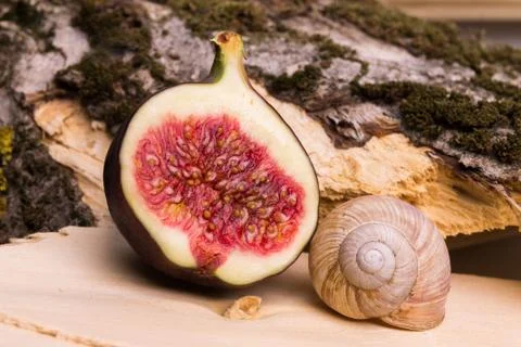 Half of fig on nature background Stock-Fotos