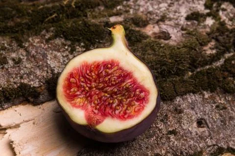 Half of fig on nature background Stock Photos