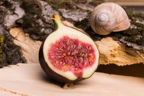 Half of fig on nature background Stock-Fotos