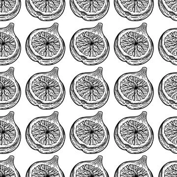 Half fig seamless vector pattern. Sketch of ripe garden fruit with tasty pulp Illustrazione stock