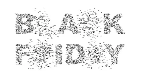 A half flock of flying birds forms the words BLACK FRIDAY. 스톡 동영상 58147287