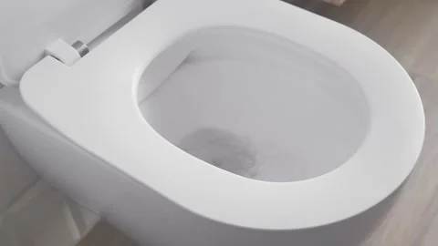 Half flush in a dual-flush toilet for economical consumption of fresh water Stock Footage 267249433