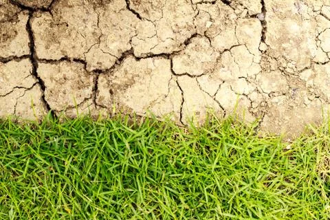 Half the frame is lush green grass and the other half is cracked dry desert s Stock Photos