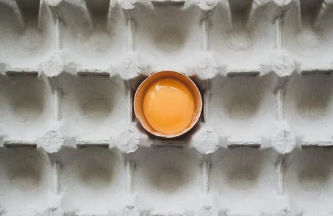 Half of fresh egg with bright yolk in paper tray for eggs. Background Stock Photos