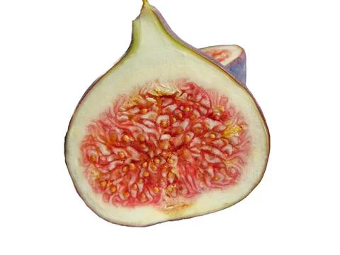 Half of a fresh fig. Fig isolated on white 스톡 사진