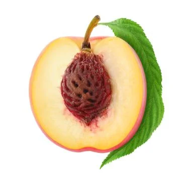 Half of fresh peach Stock Photos