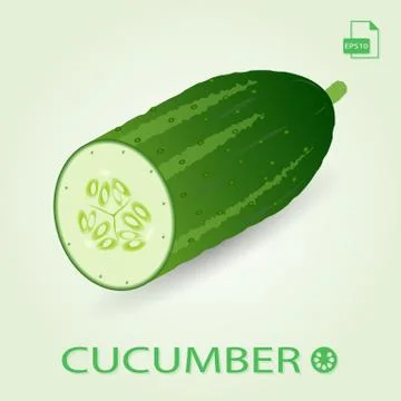 Half Of Fresh Ripe Cucumber. Stock Illustration