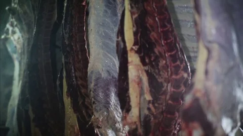 Half of a freshly cut cow carcass showing. Stock Footage 83983085