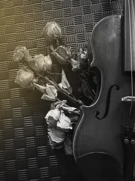 Half front side of violin put at the right side of background beside blurre.. Stockfoto's