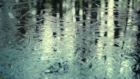 Half-frozen pond surface in the forest at dusk in the middle of snowless winter Stock-Footage 146078838