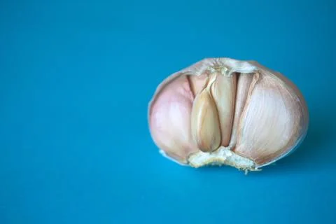Half of garlic bulb isolated on bright blue background Stock Photos