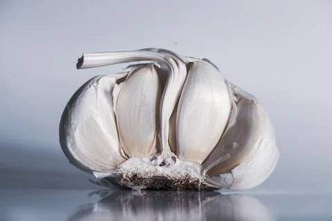 Half a garlic bulb Stock Photos