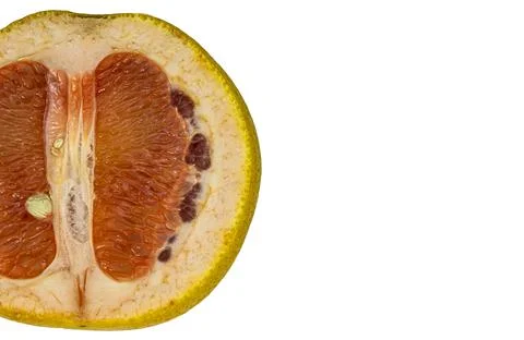 Half grapefruit on a white background isolate copy space Foto stock