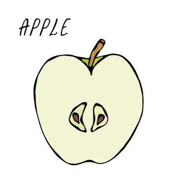 Half of Green Apple and Leaf. Fresh Fruit. Nutrition Diet. Autumn or Fall Veg Stock Illustration