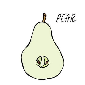 Half of Green Pear and Leaf. Fresh Fruit Nutrition Diet. Autumn or Fall Veget Stock Illustration