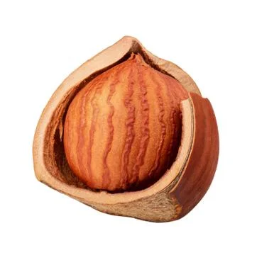 Half of  hazelnut isolated on white background as package design element Stock Photos