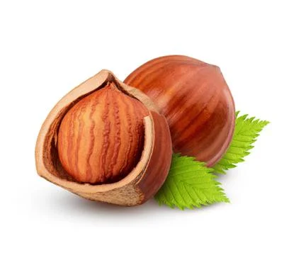 Half of  hazelnut isolated on white background as package design element Stock Photos