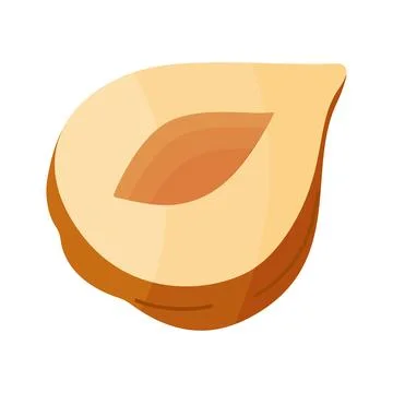 Half a hazelnut without shell, peeled nut cartoon trendy flat style isolated Stock Illustration