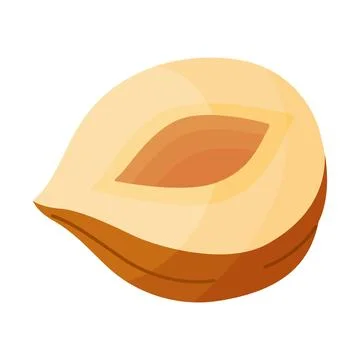 Half a hazelnut without shell, peeled nut cartoon trendy flat style isolated Illustrazione stock