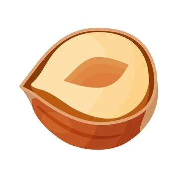 Half a hazelnut without shell, unpeeled nut cartoon trendy flat style isolated Stock Illustration
