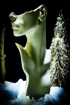 Half head figure in display window Stock Photos