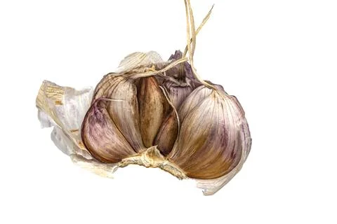 Half a head of garlic on a white background close up Stock Photos