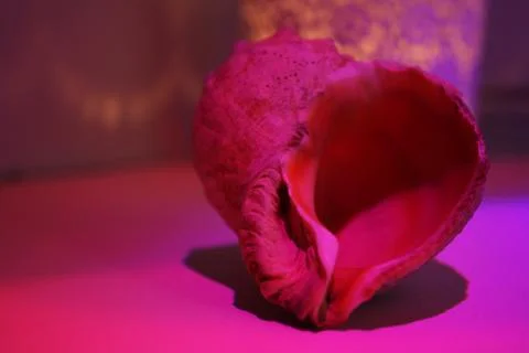 Half of heart Stock-Fotos