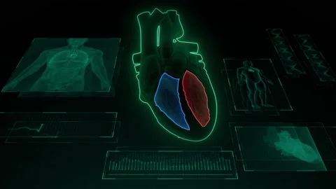 Half Heart Right Ventricle Left Ventricl... | Stock Video | Pond5