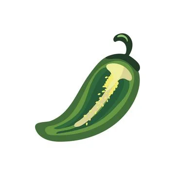 Half jalapeno vegetable 스톡 일러스트