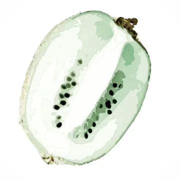 A half kiwi Stock Photos