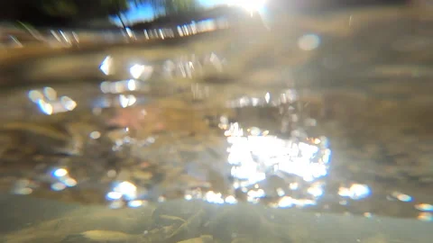 Half landscape mountain river, mountains, forest, stones and blue sky. Stock Footage 141875719