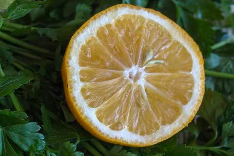 Half lemon against a background of fresh parsley. Stock Photos