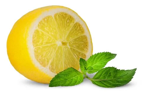 Half lemon and sprig of mint Stock Photos