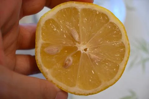 Half lemon in hand Fotos de archivo