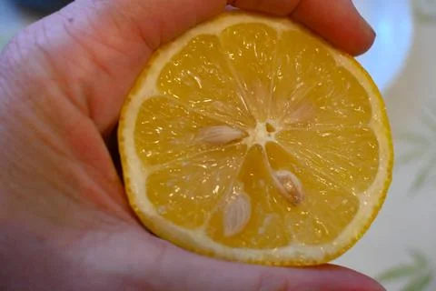 Half lemon in hand Фото
