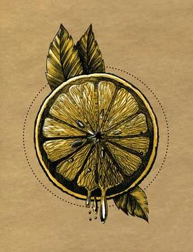 Half of a lemon. Ink drawing on brown craft paper. Stock Illustration