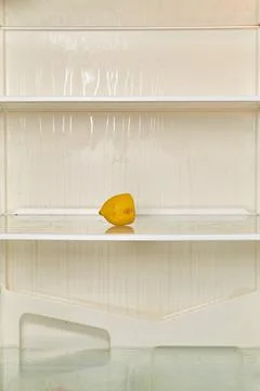 Half a lemon is on the shelf of an empty refrigerator Stock Photos