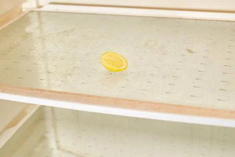 Half a lemon is on the shelf of an empty refrigerator Stock Photos
