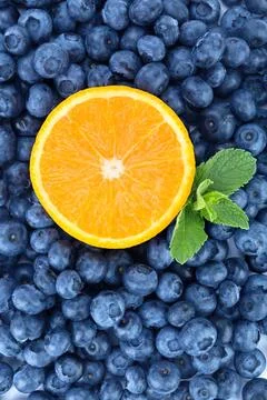 Half lemon slice on a bed of fresh blueberries Stock Photos