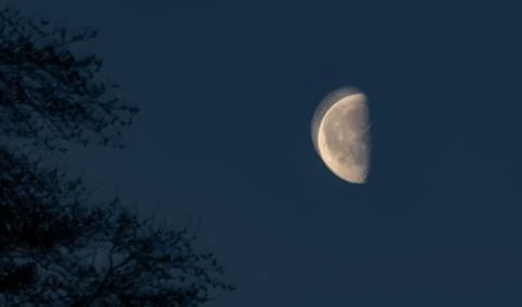 Half light white moon on dark blue sky Stock Photos