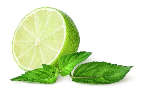 Half lime and sprig of mint Stock Photos